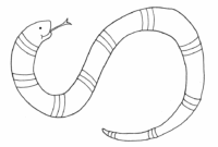 coloring pictures of snakes coloring pictures of snakes