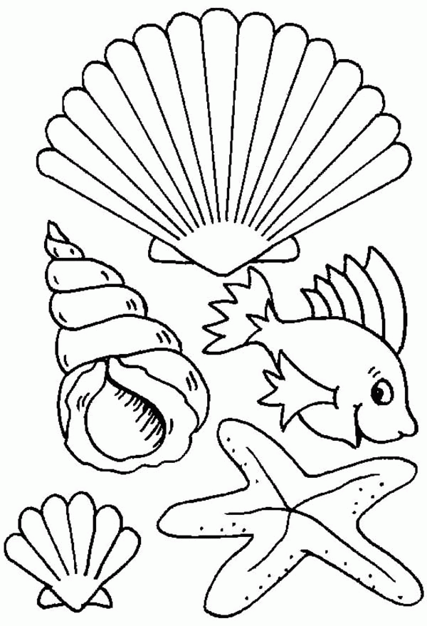 Seashells Coloring Pages - Coloring Home