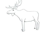 reindeer antlers coloring pages reindeer antlers coloring pages