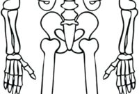 skeleton printout skeleton printout