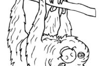coloring pictures of sloths
