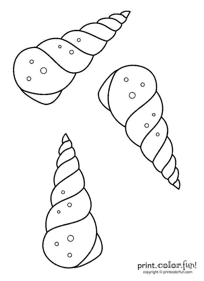 Sea Shell Coloring Pages For Adults / More fun coloring pages