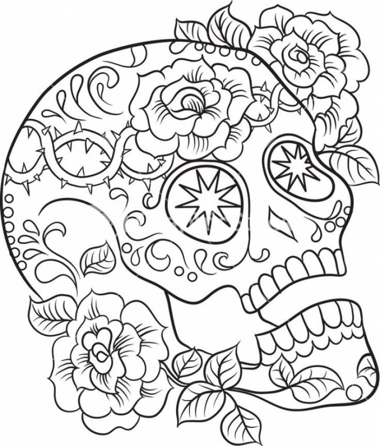 free skull coloring pages for adults