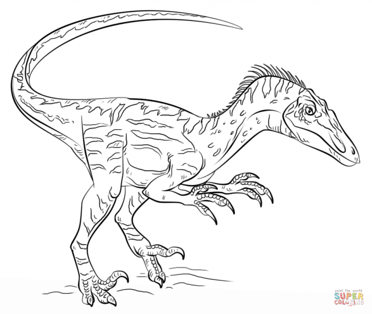 velociraptor blue coloring page