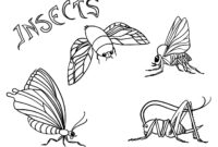 realistic insect coloring pages