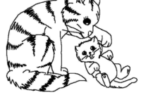 coloriage chaton a imprimer 2