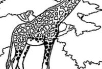 coloriage animaux ere coloriage animaux ere