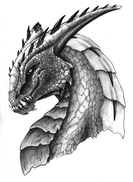 27+ Coloriage De Dragon | Color Info