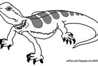 reptile coloring pages