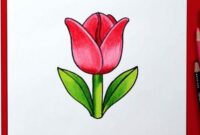 etapes pour dessiner facilement des tulipes etapes pour dessiner facilement des tulipes