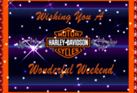 get harley davidson sportster workshop manual gif