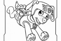 zuma paw patrol coloring page zuma paw patrol coloring page