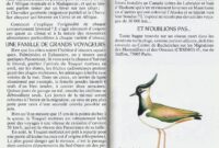 ltoile du mer desnos ecrire