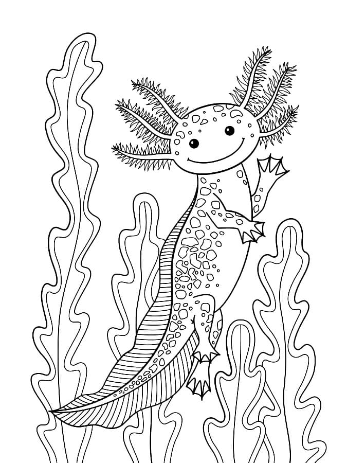 Axolotl Smiling Coloring Page - Free Printable Coloring Pages for Kids