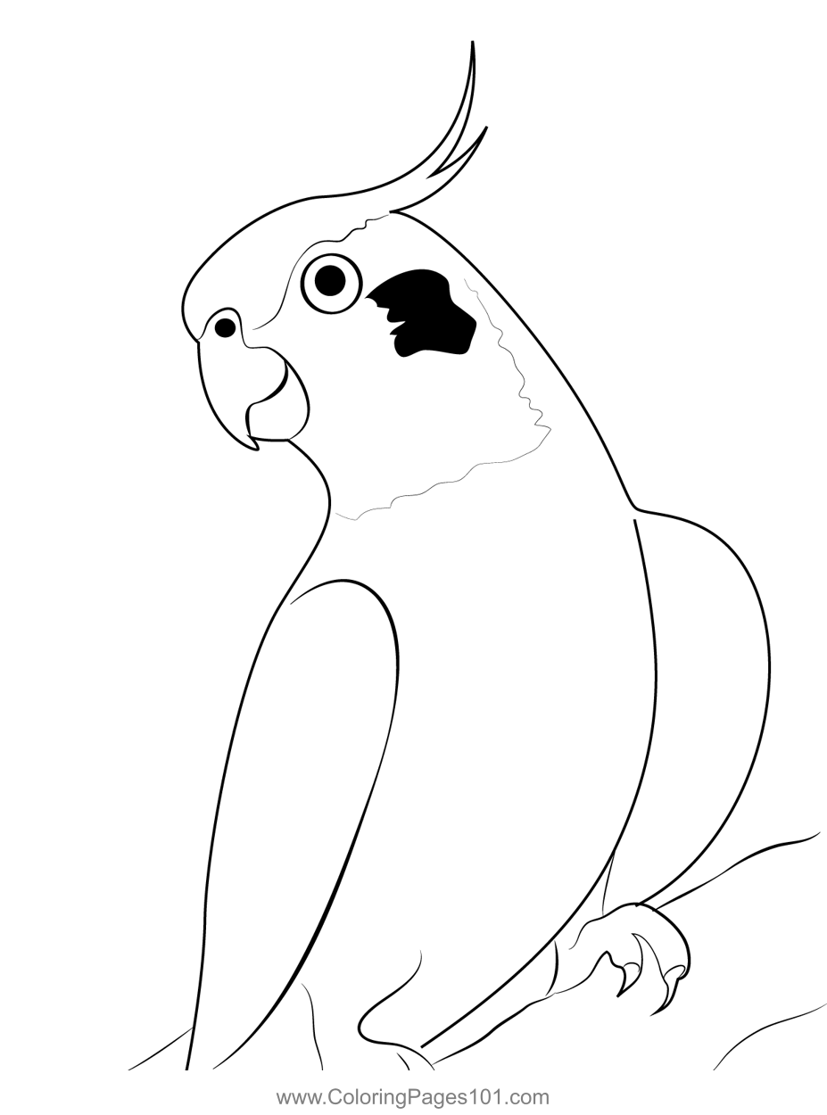 Cute Cockatiel Bird Coloring Page for Kids - Free Parrots Printable