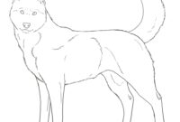 realistic husky coloring pages realistic husky coloring pages