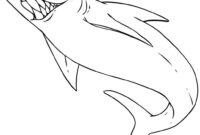 printable shark pictures printable shark pictures