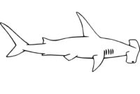 view xcolorings images view xcolorings images