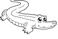 coloring page of alligator coloring page of alligator