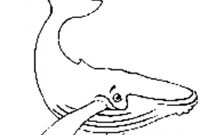 beluga whale coloring pages beluga whale coloring pages