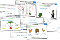 structurer le vocabulaire cycle 2