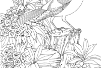 coloriage animaux gratuit maternelle