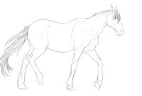 dessin de cheval au galop gratuit dessin de cheval au galop gratuit