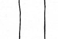 bone coloring pages bone coloring pages