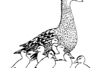duck coloring pages printable duck coloring pages printable