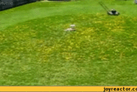 45 honda lawn mower manual gif