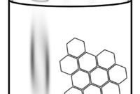 honey coloring page honey coloring page