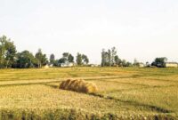 get land manual pics