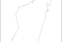 carte de madagascar vierge