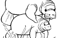 manatee coloring pages