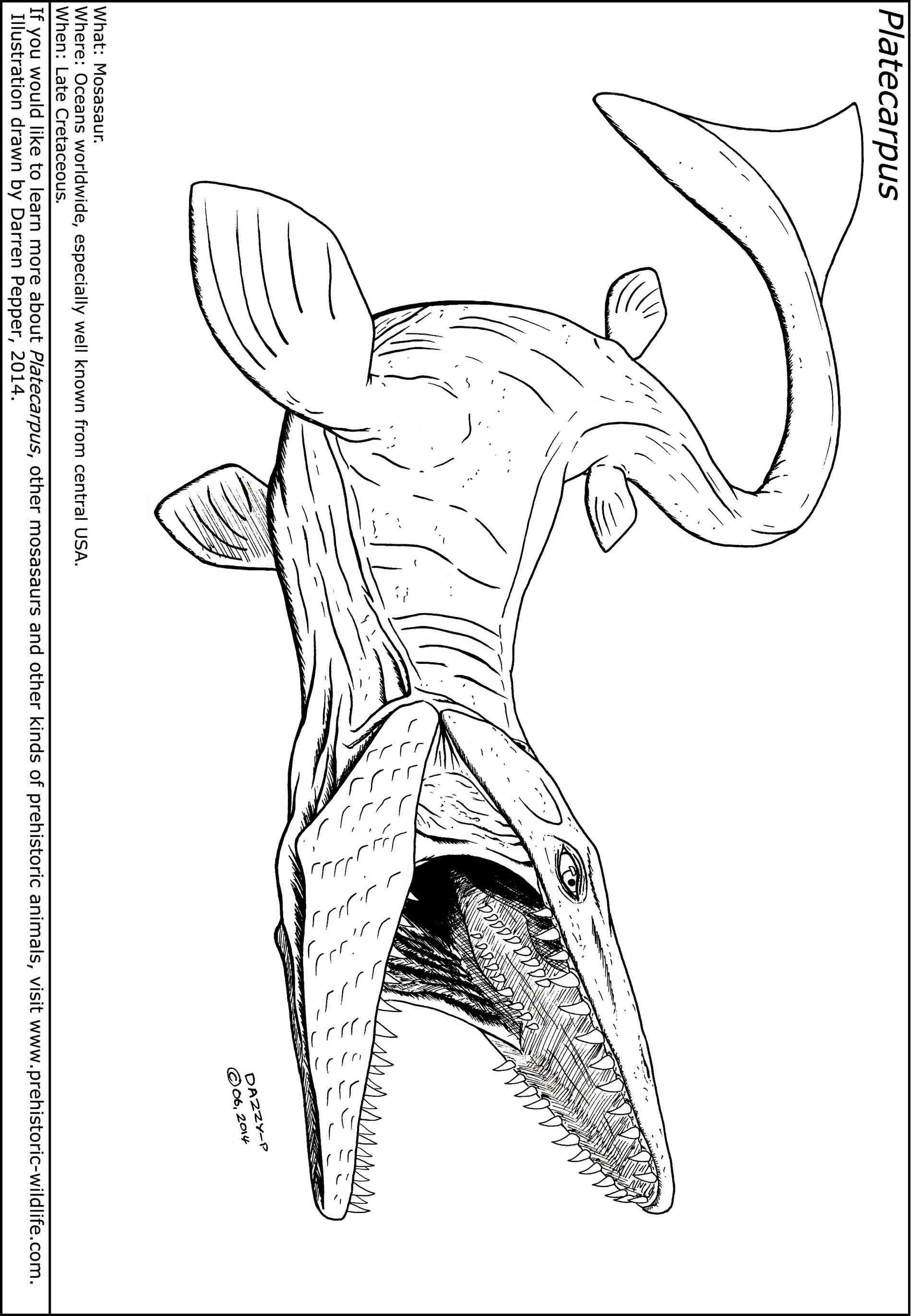 The best free Mosasaurus coloring page images. Download from 12 free