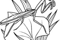 download coloriages insectes pics download coloriages insectes pics