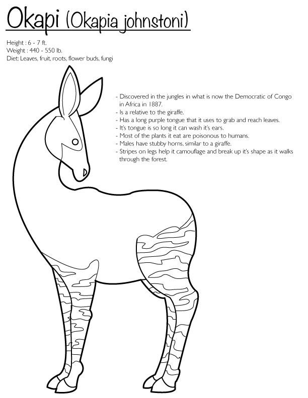 Okapi (Coloring Page) by Finwitch on DeviantArt