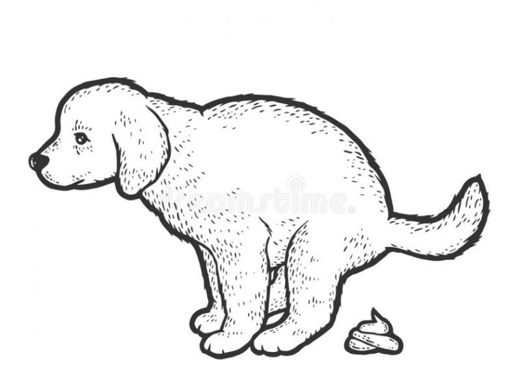 pooping animals coloring pages