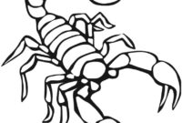 scorpion color page scorpion color page