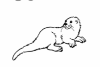 sea otter coloring pages sea otter coloring pages
