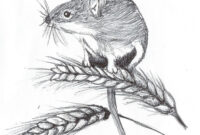 souris dessin animace