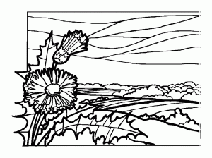 Paysages - Coloriages difficiles pour adultes - JustColor.net