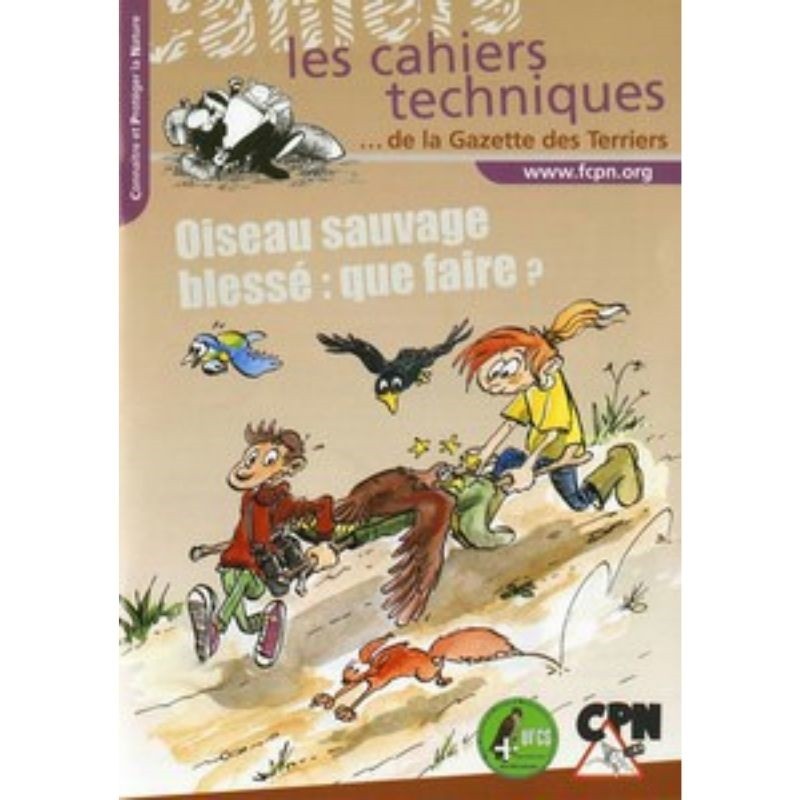 Oiseau sauvage blessé : que faire