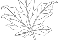 erable a colorier erable a colorier