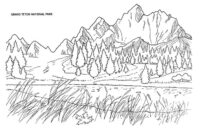 wilderness coloring pages