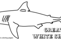 great white shark coloring