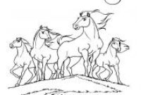 48 dessin a imprimer zoe et raven pics