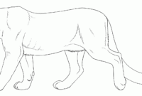 mountain lion coloring pages