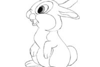 rabbit tracing pictures