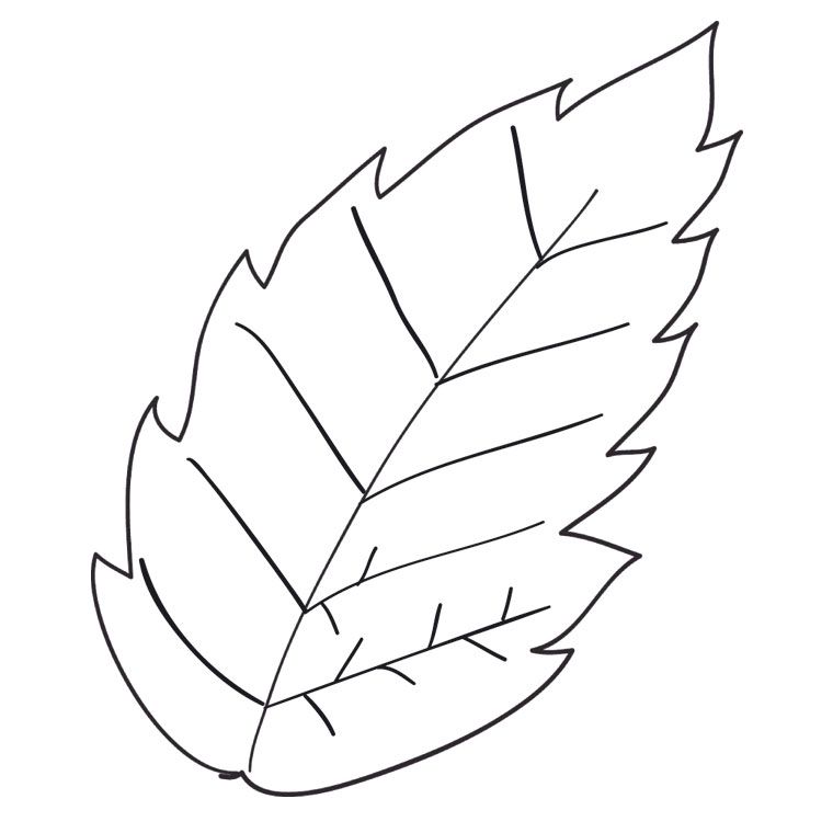 Coloriage Feuille Automne | Automne | Pinterest